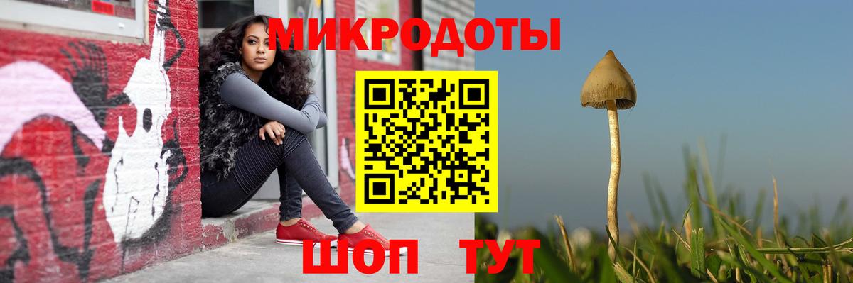 Галлюциногенные грибы Psilocybine cubensis  Вход с VPN  Павлово 